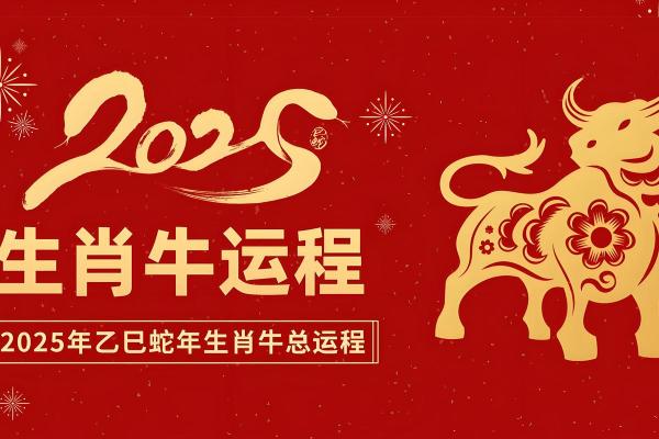 2025金牛座男全年运势_2021年到2025年金牛座运势 2025金牛座男全年运势_2021年到2025年金牛座运势