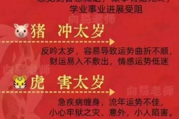 2024年金牛座运势详解财运爱情与事业全面解析 2024年金牛座运势详解财运爱情与事业全面解析