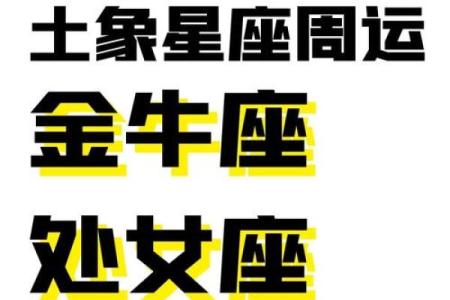 处女座12月运势_处女座十二月份运势