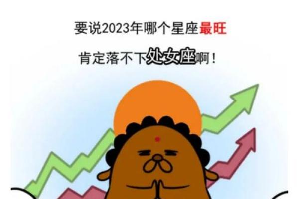 2023年处女座每月运势完整版 2023处女座每月运势完整版全年运程超全解析