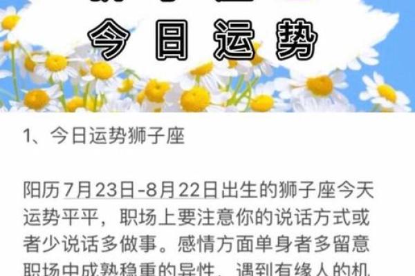 狮子座12月感情复合运势_2020狮子座12 月怎样获取幸福