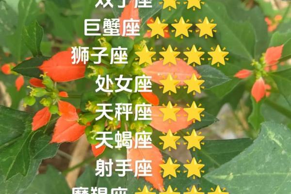 2025年3月26日白羊座今日星座运势 2025年3月26日白羊座今日星座运势