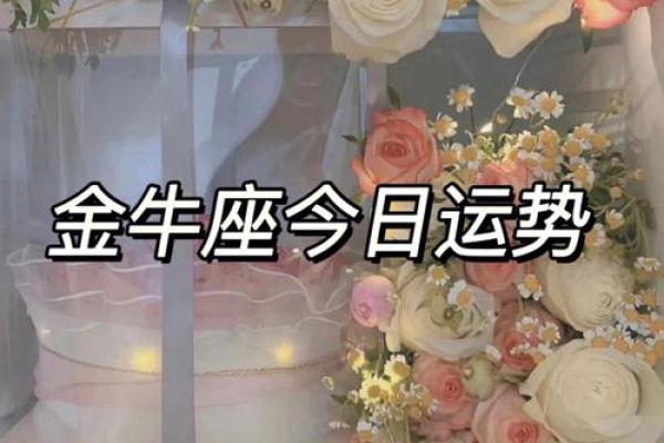 金牛座今日运势星座运势查询_金牛座今日运势 金牛座今日运势星座运势查询_金牛座今日运势