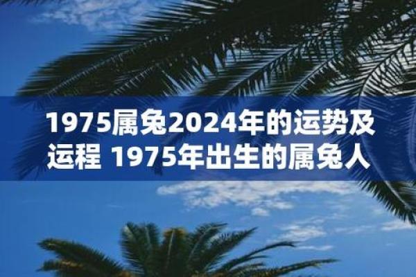 1975年属兔2025年运势详解运程预测与注意事项 1975年属兔2025年运势详解运程预测与注意事项
