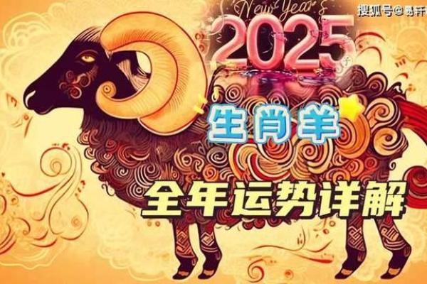 2025年属羊人年龄详解你今年多大 2025年属羊人年龄详解你今年多大