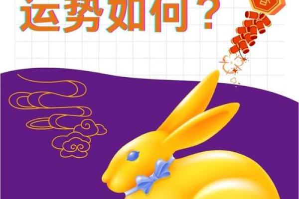 2025年属兔人运势及运程_2025年属兔人运势及运程每月 2025年属兔人运势及运程_2025年属兔人运势及运程每月