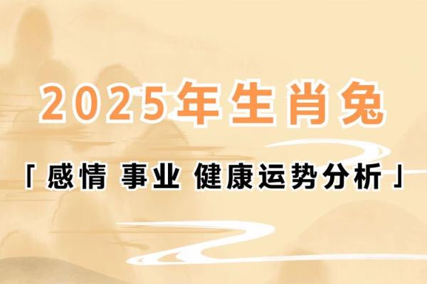 63年属兔人2023年运势解析财运事业感情全揭秘 63年属兔人2023年运势解析财运事业感情全揭秘