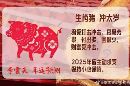 2025年属猪的带什么好 83年猪2025冲太岁佩戴