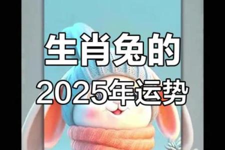 87年属兔女2025年运势完整版 2025年属兔女运势详解87年出生者全年运程预测