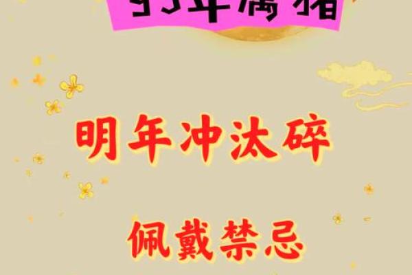 属猪运势2025年运程 2025年属猪运势详解财运事业感情全面解析 属猪运势2025年运程 2025年属猪运势详解财运事业感情全面解析