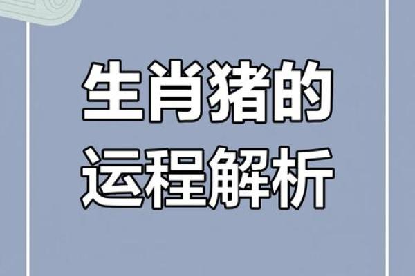 属猪运势2025年运程 2025年属猪运势详解财运事业感情全面解析 属猪运势2025年运程 2025年属猪运势详解财运事业感情全面解析