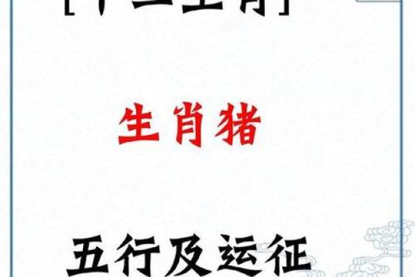 2025属猪可以结婚吗_属猪的2025年运势怎么样 2025属猪可以结婚吗_属猪的2025年运势怎么样