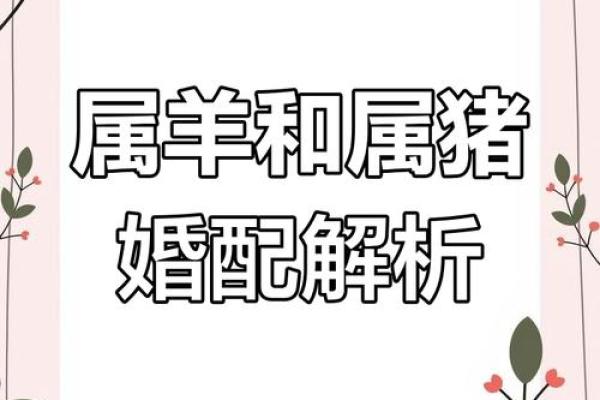 男生属羊最佳婚配_男生属羊最佳婚配指南属相配对与幸福婚姻秘诀