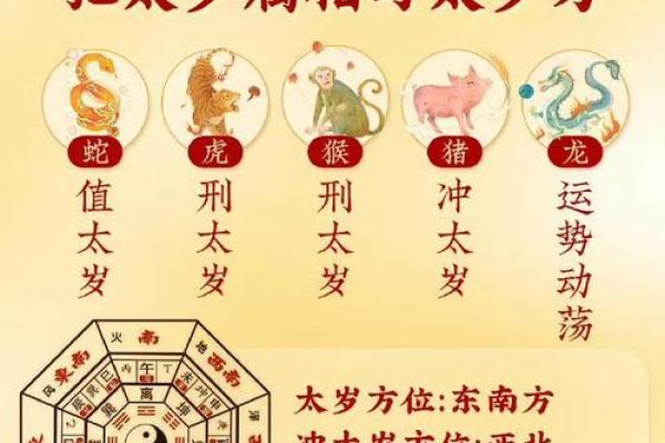 2025年蛇年对于属兔人好吗 2025年蛇年属兔人运势解析吉凶如何 2025年蛇年对于属兔人好吗 2025年蛇年属兔人运势解析吉凶如何