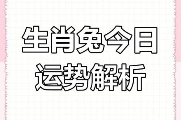 1963年属兔人2025年运势 1963年属兔人2025年运势详解财运健康感情全解析
