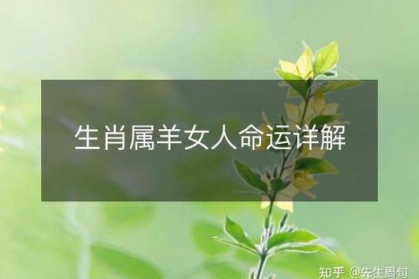 属羊女人的命运与婚姻_十个羊女九克夫