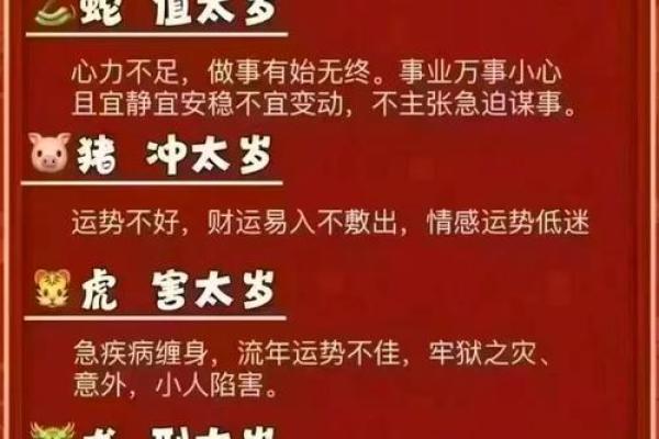 属兔在2025蛇年的运气_2025蛇年属兔运势解析财运事业感情全攻略