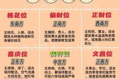 2025年蛇五行属什么_2025蛇年五行揭秘乙巳年正月运势全解析