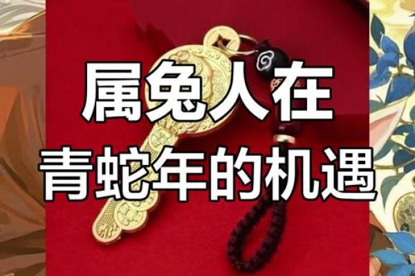 2025年87年属兔人的全年运势如何_2025年属兔人全年运势详解87年兔年运程大揭秘 2025年87年属兔人的全年运势如何_2025年属兔人全年运势详解87年兔年运程大揭秘