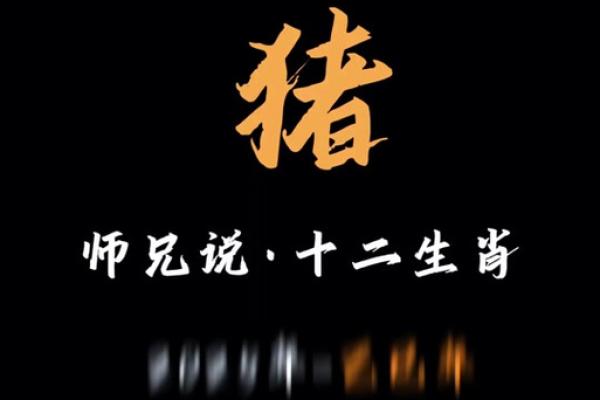 属猪的2025年多大了_属猪的2025年多大了