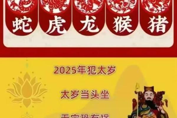 2025蛇年属猪披麻戴孝_2025年属猪大发横财 2025蛇年属猪披麻戴孝_2025年属猪大发横财