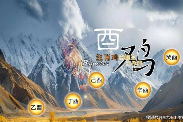 1969年属鸡2025年运势及运程_1969年属鸡2025年运势解析运程详解与吉凶预测 1969年属鸡2025年运势及运程_1969年属鸡2025年运势解析运程详解与吉凶预测