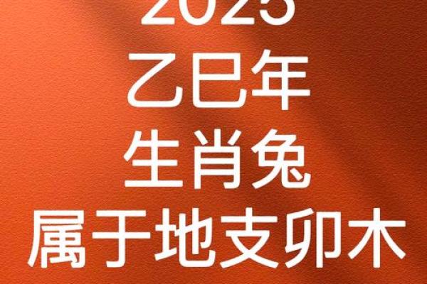87年兔2025年运势及运程 2025年87年兔运势详解全年运程大揭秘