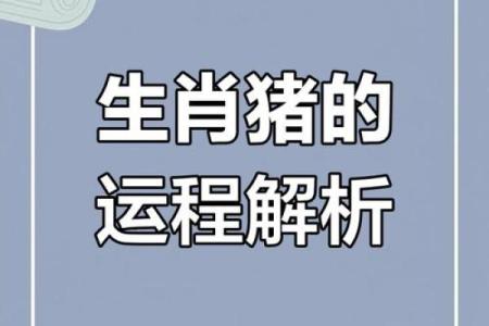 属猪的2025年多大了_属猪的2025年多大了