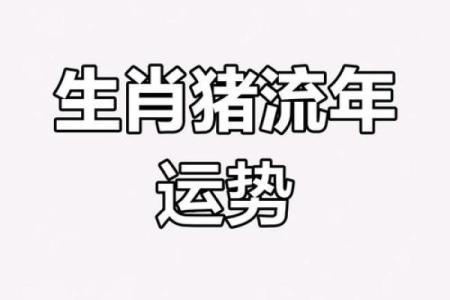 1971年2024年属猪人的全年运势_1971年猪人2022年运势