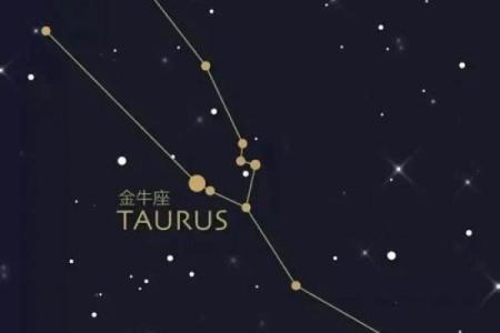 2024年金牛座健康运势解析全年健康指南