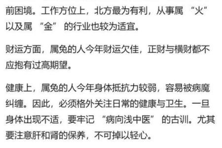 2025年属兔是什么命_2025年属兔命运解析运势财运与事业全揭秘