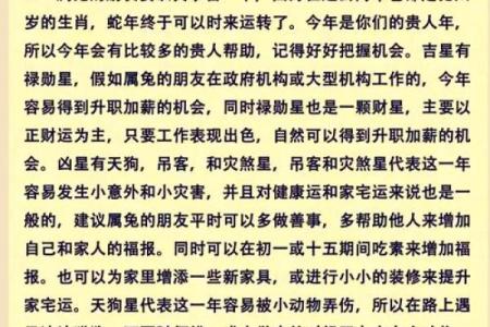 2025年属兔运势解析财运事业爱情全攻略