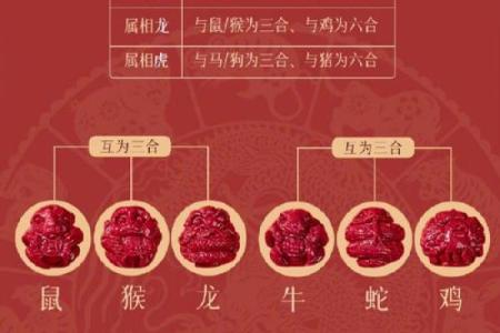 属猪2025犯太岁吗_属猪的人犯太岁的化解方法