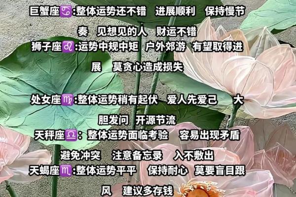 2003年属羊婚姻运势 2003年属羊婚姻运势解析爱情与幸福的关键时刻 2003年属羊婚姻运势 2003年属羊婚姻运势解析爱情与幸福的关键时刻