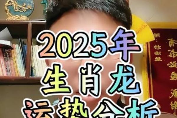 属兔2025年多大_属猪2025年多大