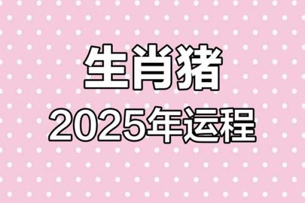 属猪的2025多大了 71年属猪的人今年多大