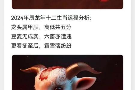 属羊人2025年全年运势及每月运程_属羊人2025年全年运势及每月运程详解