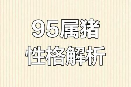 95属猪男的最佳婚配_95属猪男人最佳妻子
