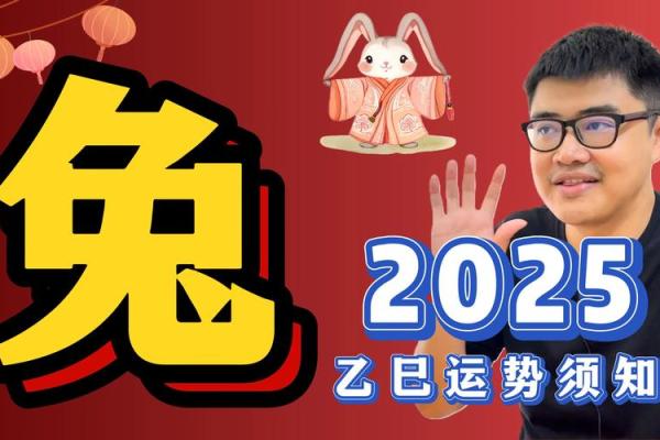 属兔人2025年运势运程 2025年属兔人运势详解全年运程大揭秘