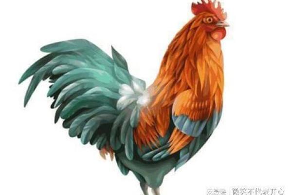 2005属鸡男孩一生的命运_2005年出生的鸡男孩命运