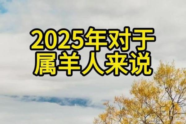 1991属羊人2025年全年运势详解_1991属羊人2025年运势详解全年运程大揭秘