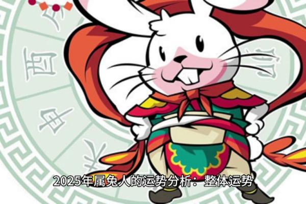 1999年兔2025年运势 1987年兔2025年每月运势详解