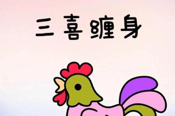 2025年1月12日属鸡运势解析事业财运双丰收