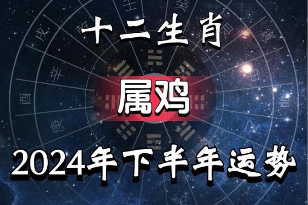 1981年属鸡2024年运势完整版_1981年属鸡2024年运势详解事业财运健康全解析
