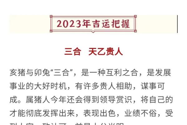 猪2025年运势及运程_2025年猪的运势流年运程