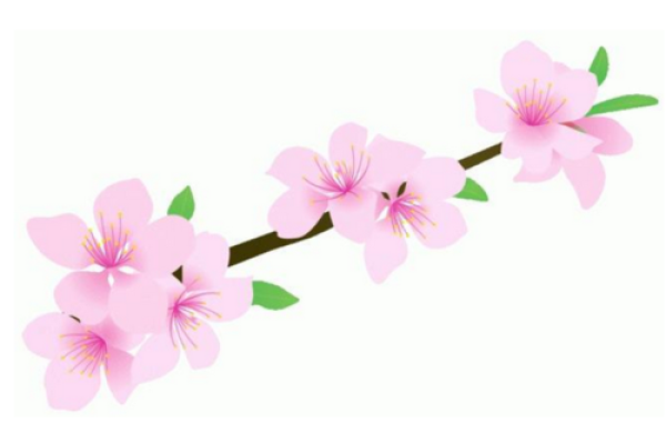 桃花初开打一生肖 桃花初开打一生肖