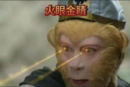 火眼金睛打一个生肖