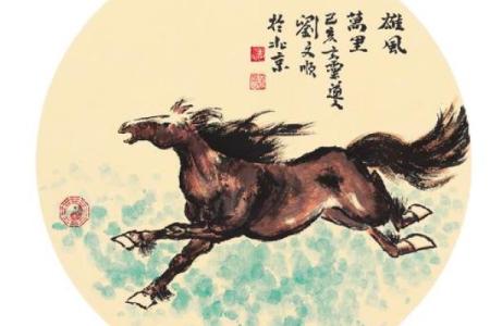 属马人2013年运势