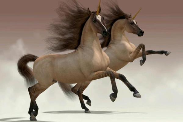 千军万马打一生肖 千军万马打一生肖