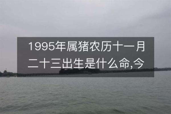1995年属猪的命运与婚姻_1995年属猪的命运好吗 1995年属猪的命运与婚姻_1995年属猪的命运好吗